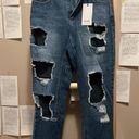 Cello Denim Ripped High Waisted Jeans with Black Mesh Fishnet Photo 4