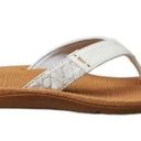 REEF  Flip Flops Santa Ana Sandal Women’s Adults Slide Size 7 New Photo 2