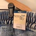 Terra & Sky High Rise Slouchy Short Light Wash Jean Denim Elastic Stretch Waist Photo 5