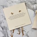 Ettika NWOT  Dainty Chain Dangle Earrings Photo 1