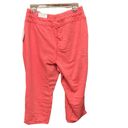 Lane Bryant  Livi Activewear Women’s cropped French terry melon joggers Sz 14/16 Photo 1