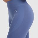 Oner Active CLASSIC SEAMLESS 2.0 LEGGINGS Photo 5