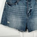 sts blue  Kate High Rise Denim Shorts Photo 3