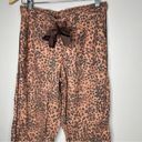 Aerie  Cheetah Size X-Small Pajama Pants with Tie Photo 0