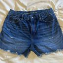 American Eagle Curvy High Waisted Shorts Photo 1