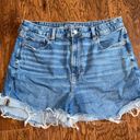 American Eagle Mom Shorts Photo 0