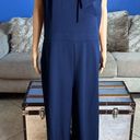 Harper  ROSE Scarf Neck Crepe Jumpsuit Photo 2