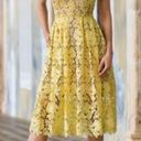 Donna Morgan  yellow lace fit and flare dress size 4 Photo 0