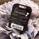 Cherish  Charms AMBER Name Bracelet Charm NEW NWT Silvertone Silver Tone Photo 1