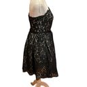 Robert Rodriguez  Neiman Marcus Fit and Flare Lace Dress Size 6 black/tan Photo 4