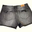 Bohme  black denim cutoff shorts distressed size 29 Photo 2