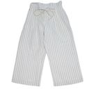 Club Monaco  annreanahh striped paper bag wide leg pants 6 Photo 2