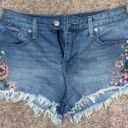 Target Jean Shorts Photo 2