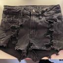 American Eagle Outfitters Shorts Photo 0