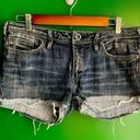 Silver Jeans  Isabel Size 32 Denim Blue Jean Shorts Distressed Cute! EUC Photo 0