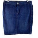 Banana Republic  Medium Wash A-Line Stretch Jean Skirt Size 8 Photo 0