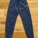 Talentless  - Sweatpant Joggers in Blue Photo 0