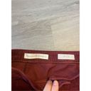 Pilcro and the Letterpress  Anthropologie High Rise Corduroy Skirt Size 0 Photo 3