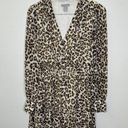 Divided  H&M Leopard Print Dress Women's Fit and Flare Tan Size 4 Long Sleeve Tan Photo 1