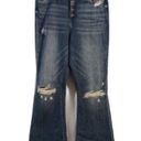 Vervet Flying Monkey Size 30 Destroyed Button Fly Raw Hem Flare jeans Womens 30x33 Photo 0