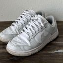 Nike Women’s Dunk Low Photon Dust Photo 0