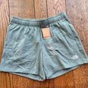 The North Face  Women's Evolution Shorts | Dark Sage | XL | NWT Photo 0