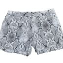 Apt. 9  Torie Mid Rise Snake Print Shorts Sz 16 Photo 2