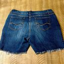 American Vintage EUC  denim shorts Photo 2