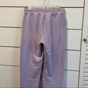 American Eagle  Purple Sweatpants Photo 3