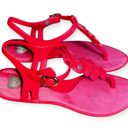 Melissa  “dreamed” jelly CACAO 2 red slip on Owl thong strapped sandals shoe sz 6 Photo 2