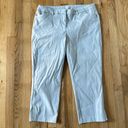 Eliane Rose  striped slacks trousers cropped pants size 14 Photo 0