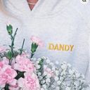 Dandy Worldwide Hoodie Heather Gray Gift Giving Hoodie Photo 1