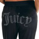 Juicy Couture Velour Pants Photo 0