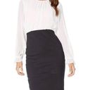 Ted Baker  London White and Navy Lizzata Pleated Combo Dress Women’s Size 4 Photo 0