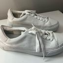 ALLSAINTS  Trish Sneaker in Chalk White Photo 3