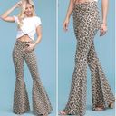 Judy Blue Jolene 70s Retro Leopard Super Flare Jeans Size 26 Hippie Festival Photo 2