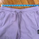 YoungLA Light Purple Lavender Jogger Pants Size L Size L Photo 8