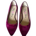 Penny Loves Kenny  Wine Color Suede Like Flats Size 8 Photo 0