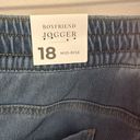 Lane Bryant  Boyfriend Jogger Jeans Photo 10