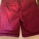 Bermuda Maroon Size 12  Shorts Photo 3