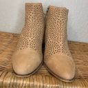 Caslon  Nubuck Leather Perforated Cutout Jamie Bootie Size 9.6 Photo 3