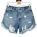 Good American Womens Button Fly Distressed Frayed Hem Denim Jean Shorts Size 25 Photo 0