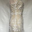 Lucy in the Sky  Lace Applique Shimmer BodyCon Dress Sz S Cream Sleeveless Fairy Photo 5