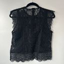 ZARA Black Semi Sheer Black Lace Top Photo 1