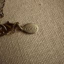 American Eagle Vintage  Long chain with silver feather, crystal moon, and horn Photo 4