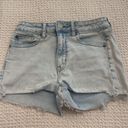 American Eagle Next Level Stretch Denim Shorts Photo 1