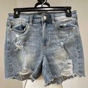Judy Blue  paint slash distressed shorts in a size small Photo 0