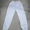 Brandy Melville NWT  Rosa Light Blue Sweatpants Photo 3