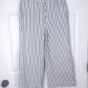 Madewell Emmett Wide Leg Crop Blue & White Striped Button Fly Pants Size 31 Photo 2