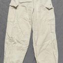 BDG Cargo Pants Photo 0